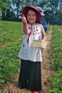 Ada Acker of E Thetford in Strawberry Patch at Cedar Circle Farm by Julie Acker